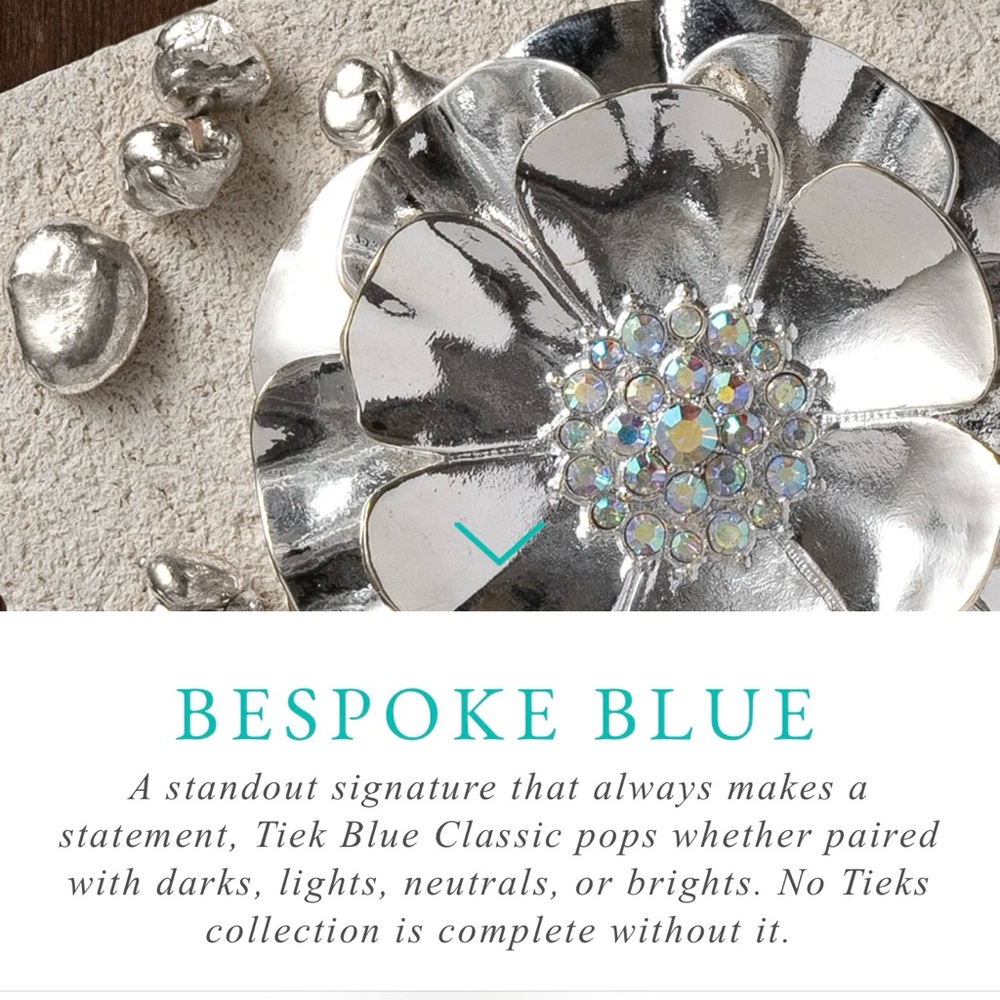 Tieks 2024 Limited Edition Blue Classic Ballet Flats